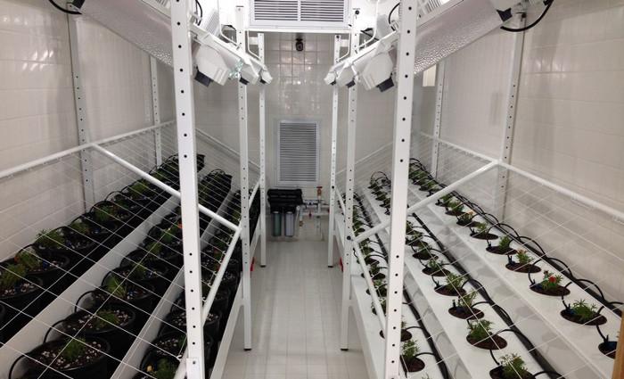 Sustainable Living Shipping Container Farming